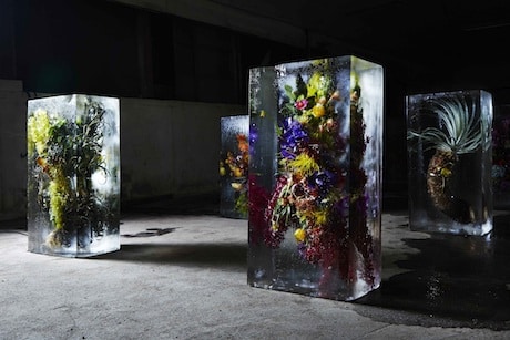 ice_flowers_11